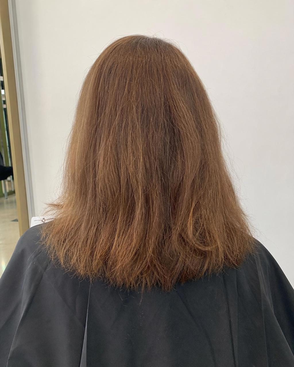 Balayage & Blowout - before